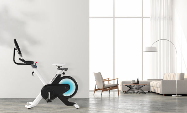 What You Should Know Before Buying an Indoor Bike - freebeat™