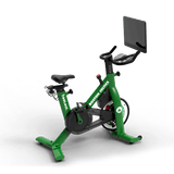 Lit Bike Celtics Edition