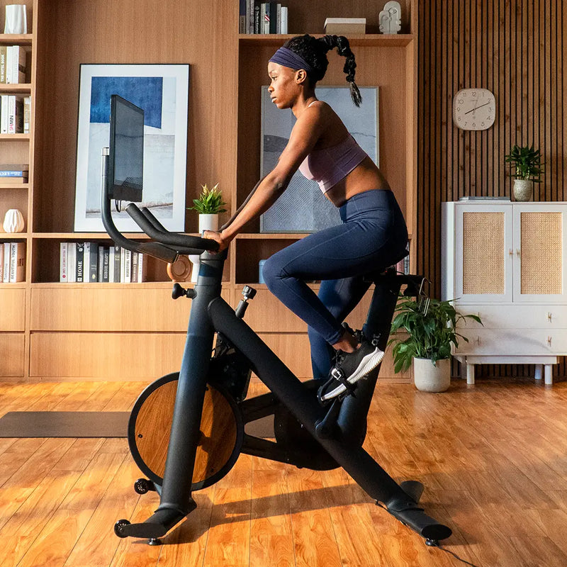 freebeat lit bike for stay at home moms or busy people for weight loss
